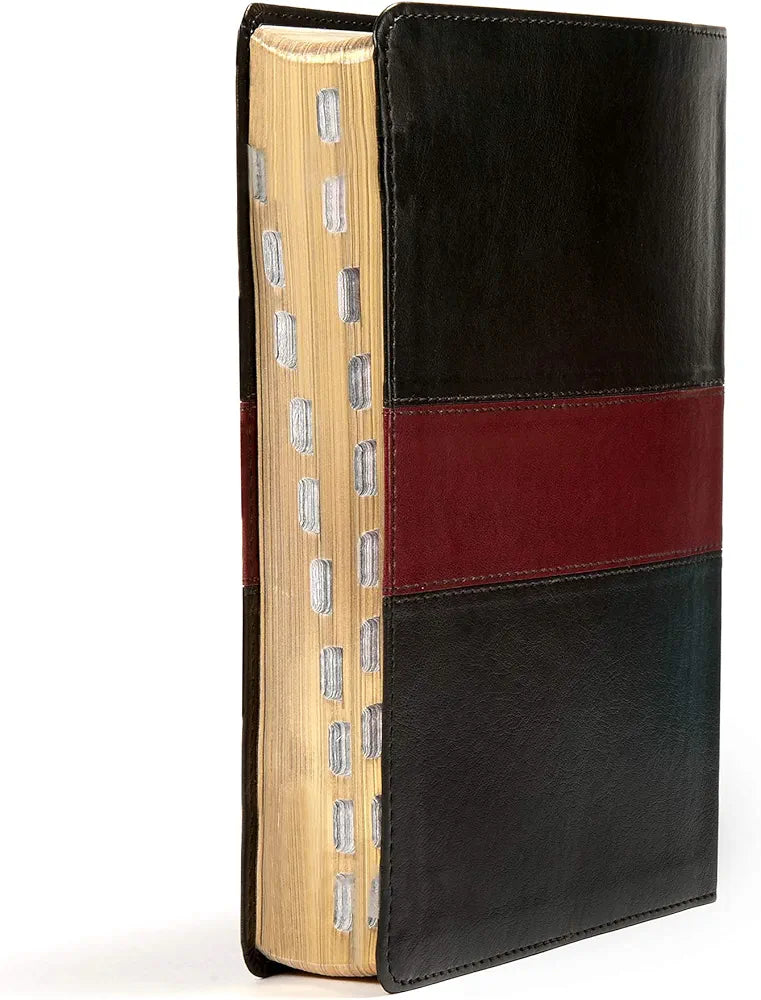 KJV Apologetics Study Bible, Black/Red Leathertouch Indexed, Black Letter, Pure Cambridge Text, Defend Your Faith, Study Notes and Commentary, Articles, Profiles, Easy-to-Read Bible MCM Type