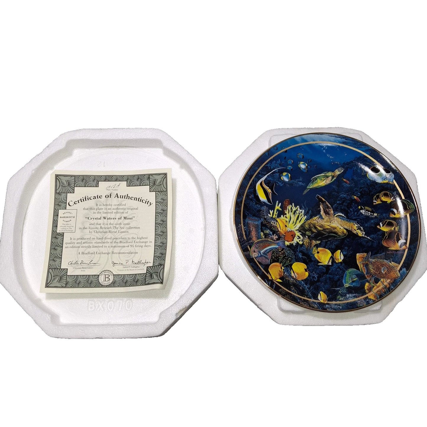 Bradlord Exchange " Crystal Water of Maui"