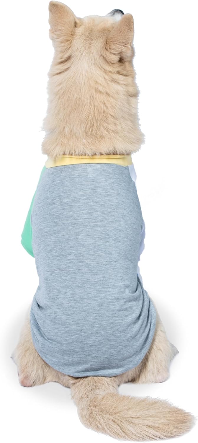 The Dodo Dog Bandana & Colorblock Tee Pet Apparel Set, Size Medium