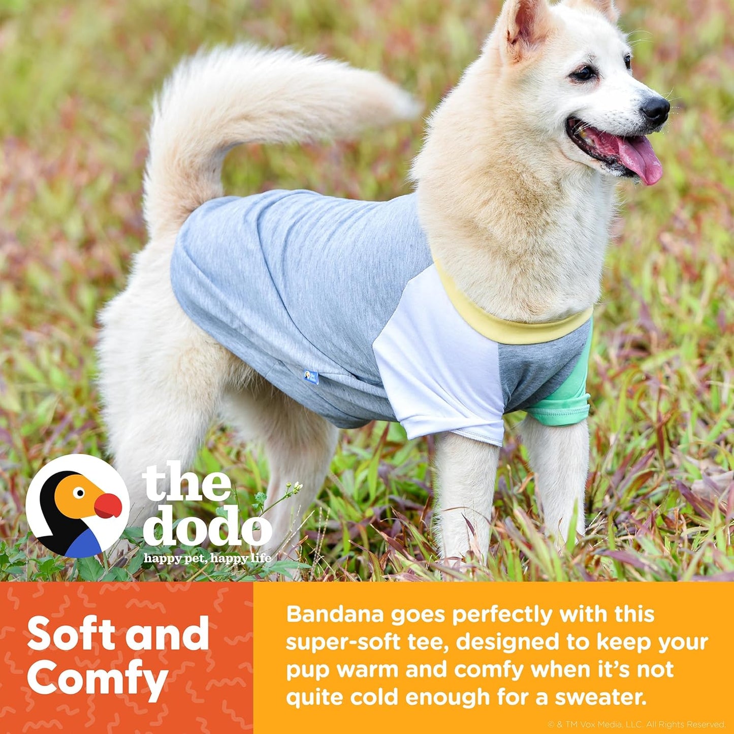 The Dodo Dog Bandana & Colorblock Tee Pet Apparel Set, Size Medium