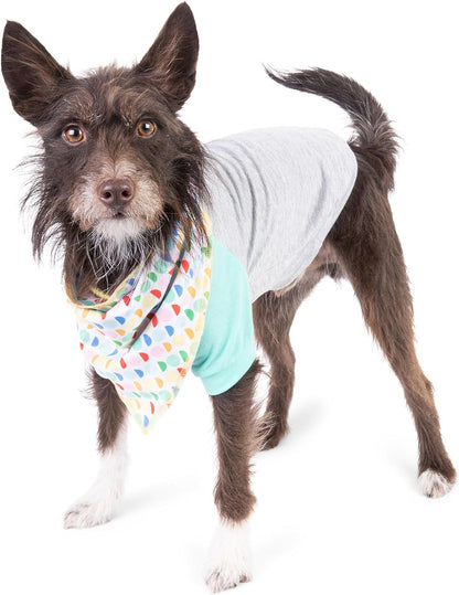 The Dodo Dog Bandana & Colorblock Tee Pet Apparel Set, Size Medium