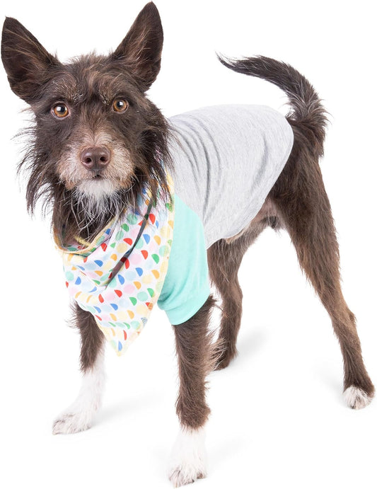 The Dodo Dog Bandana & Colorblock Tee Pet Apparel Set, Size Medium