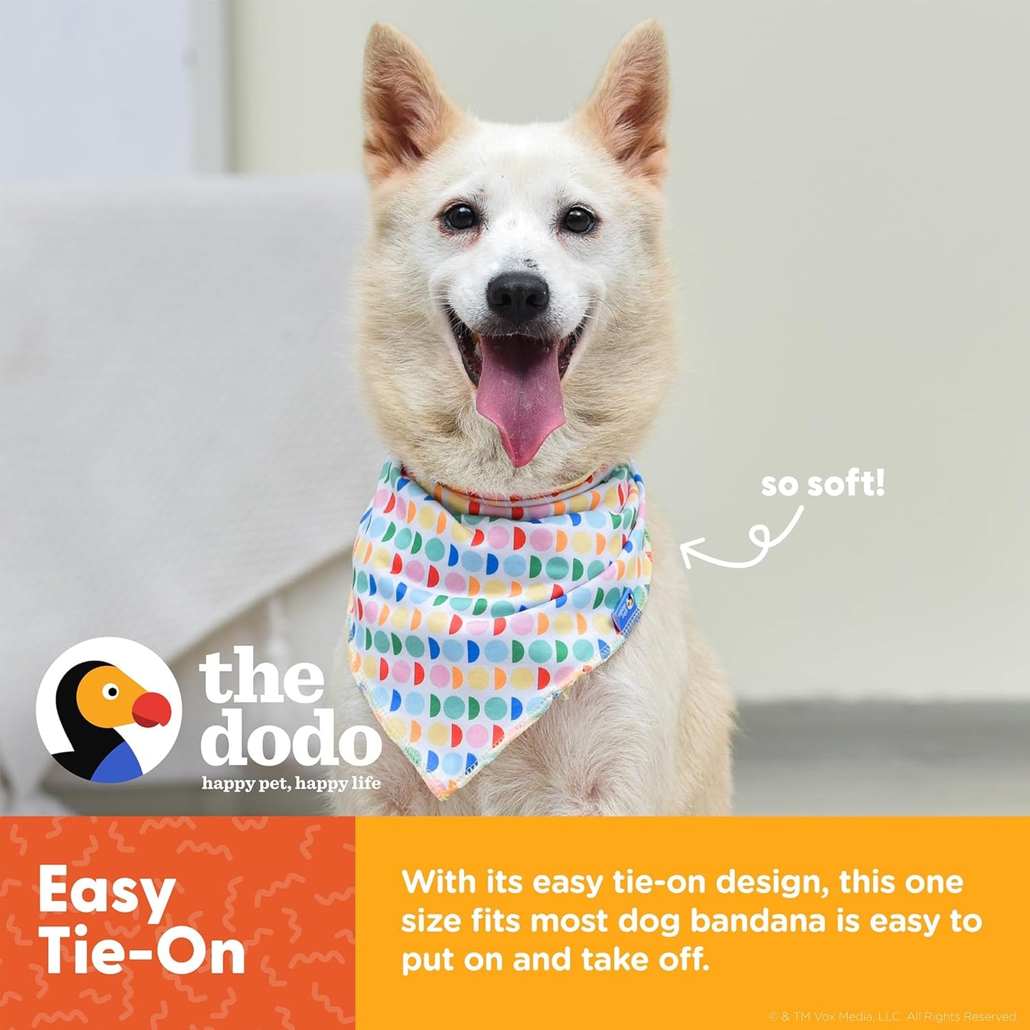 The Dodo Dog Bandana & Colorblock Tee Pet Apparel Set, Size Medium