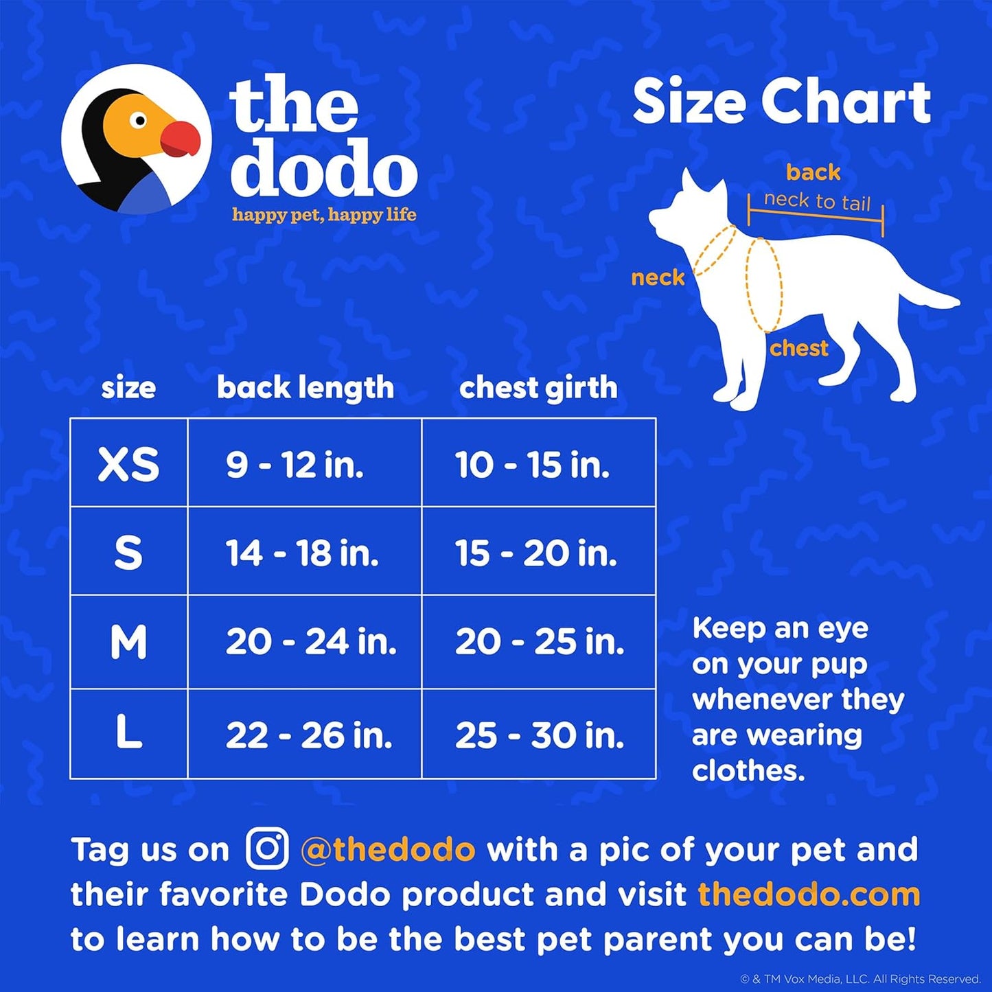 The Dodo Dog Bandana & Colorblock Tee Pet Apparel Set, Size Medium