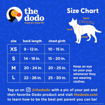 The Dodo Dog Bandana & Colorblock Tee Pet Apparel Set, Size Medium