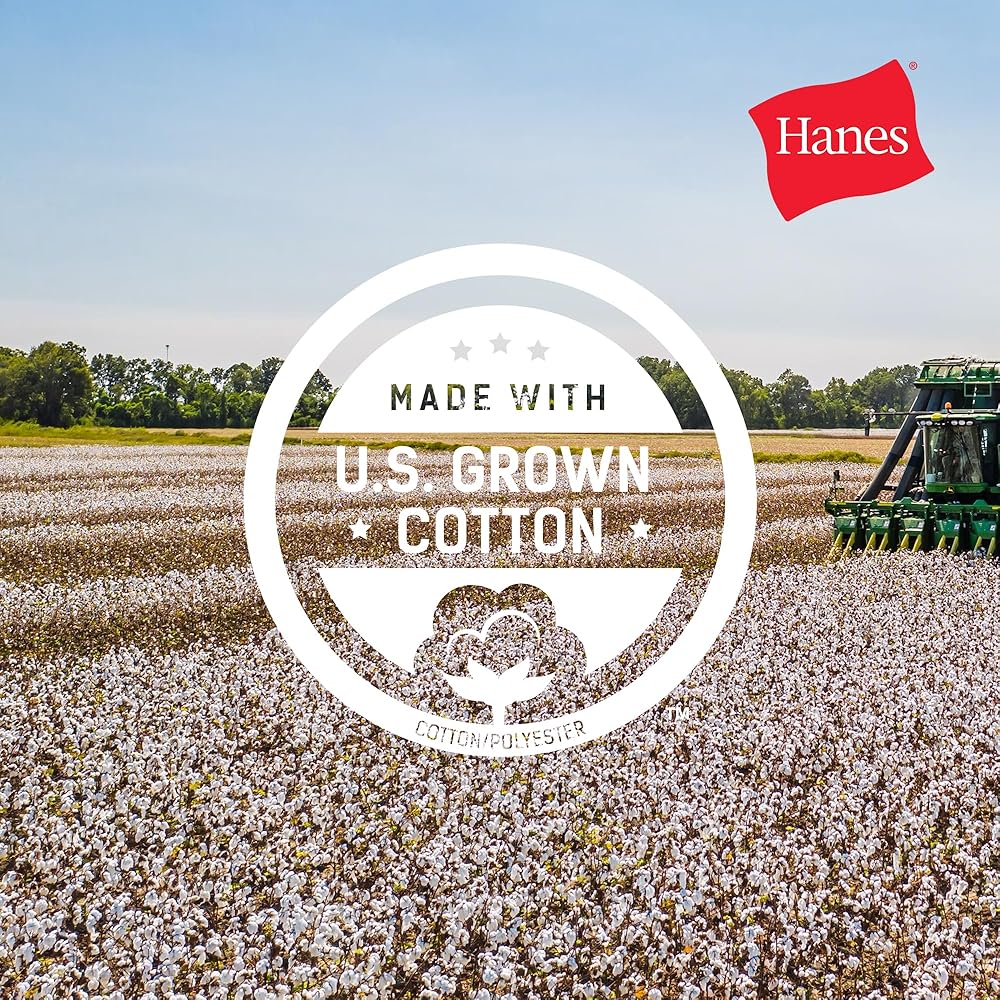 Hanes Men's Beefy-T Heavyweight Cotton T-Shirt (1-2 Pack, Big & Tall)