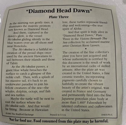 Bradlord Exchange Diamond Head Dawn