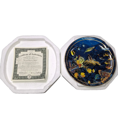 Bradlord Exchange " Crystal Water of Maui"